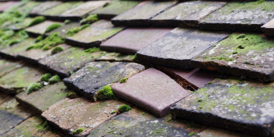 Grovesend roof repair costs